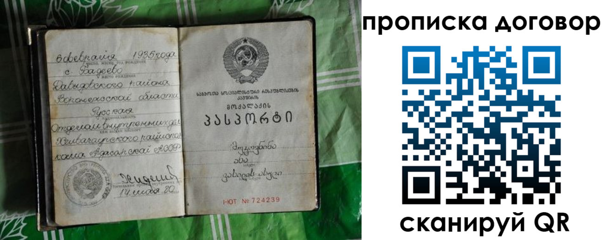 прописка в Светлом