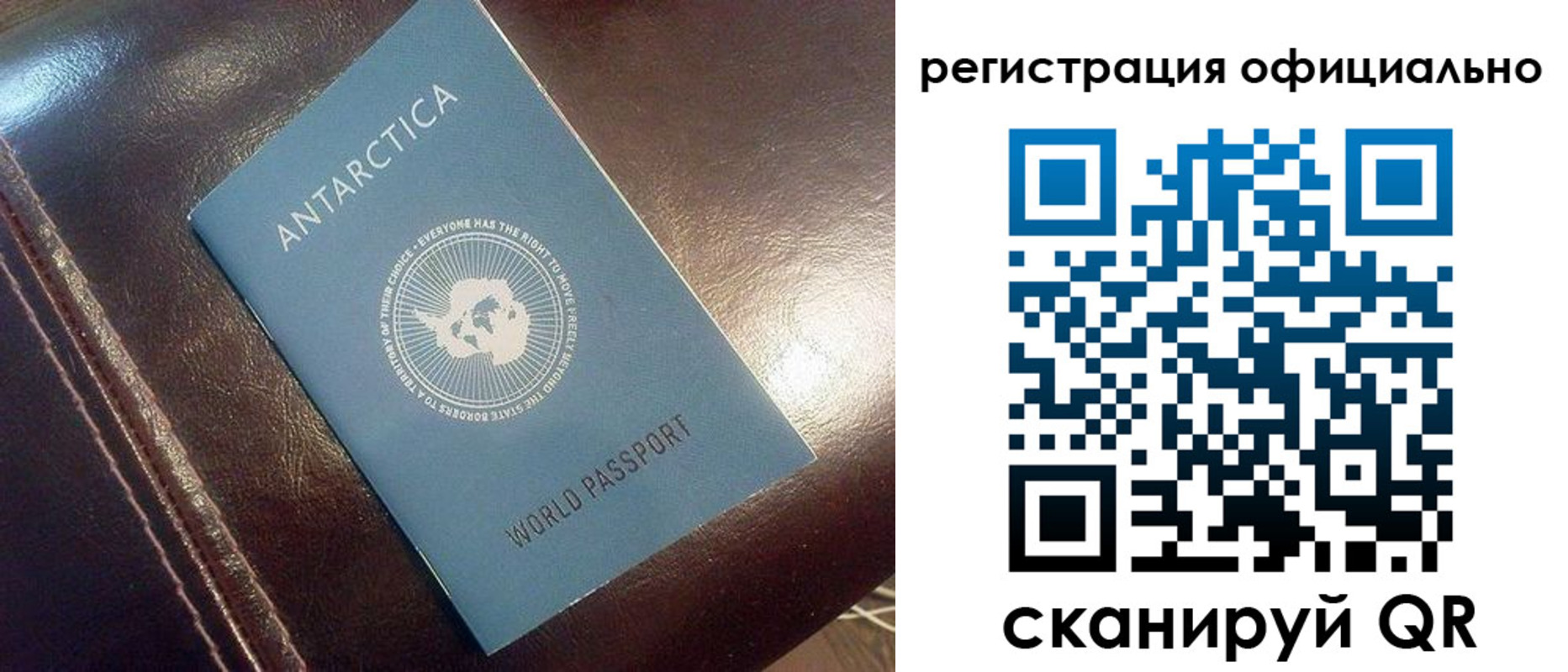 временная регистрация госуслуги в Светлом